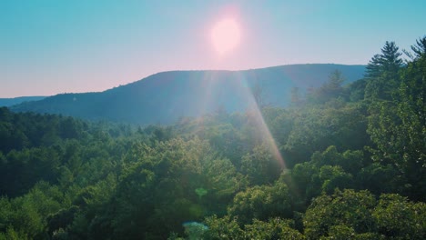 aerial drone footage of a sweeping pine forest vista in the appalachian mountains. this is in new york's hudson valley during summer in the catskill mountain sub-range