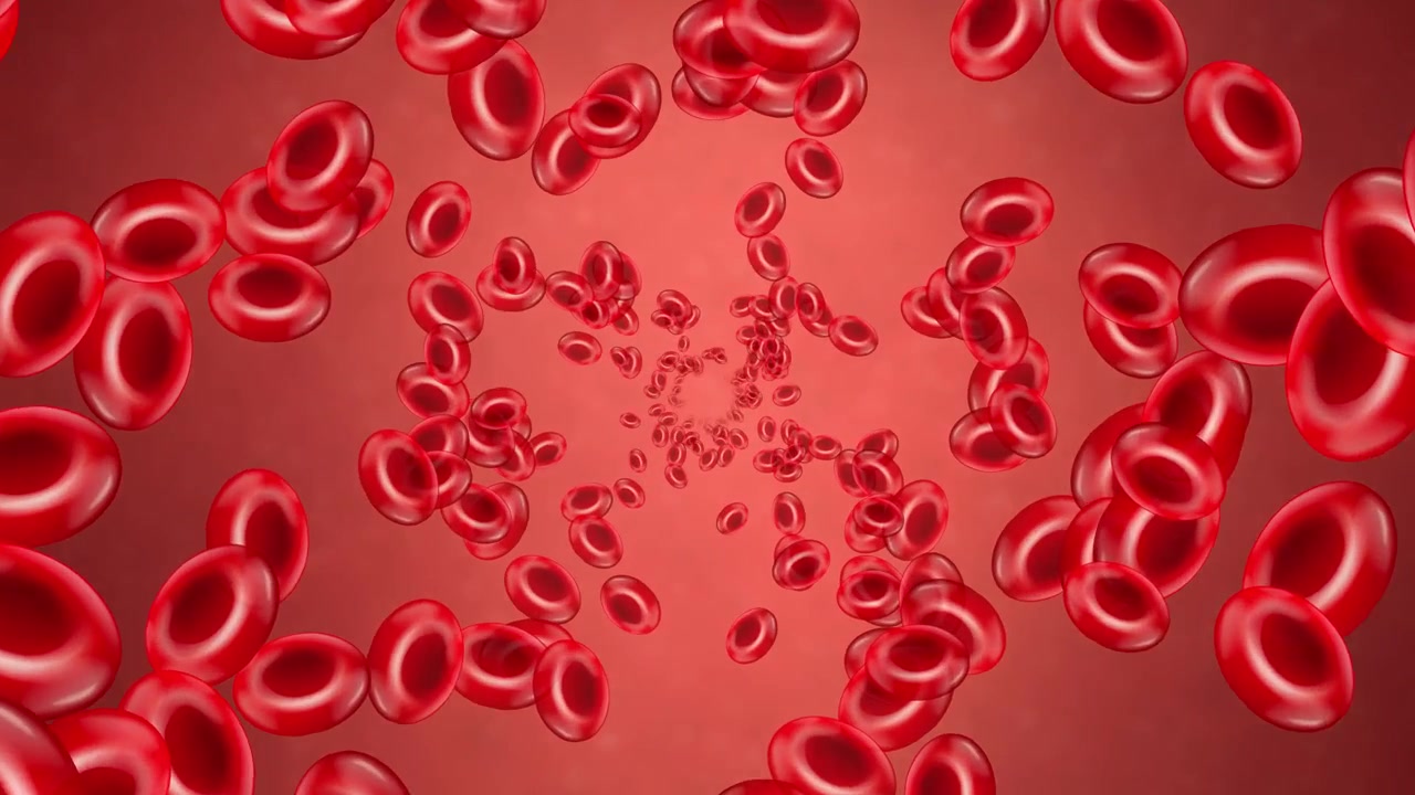 Animated red blood cells drift slowly through a microscopic vein with soft red lighting.