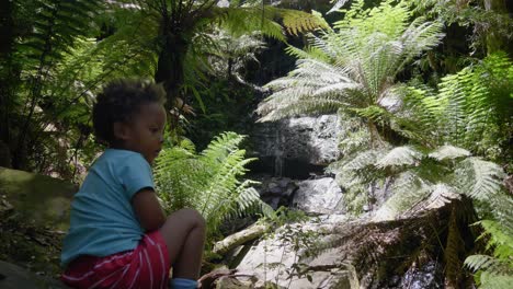 a young child sits on a ledge in a rain forest looking at a small waterfall