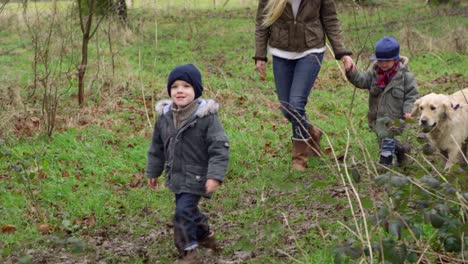 family on winter walk in countryside with dog shot on r3d