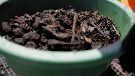 seed raising mix leaf mould sifting the soil compost green sift pea