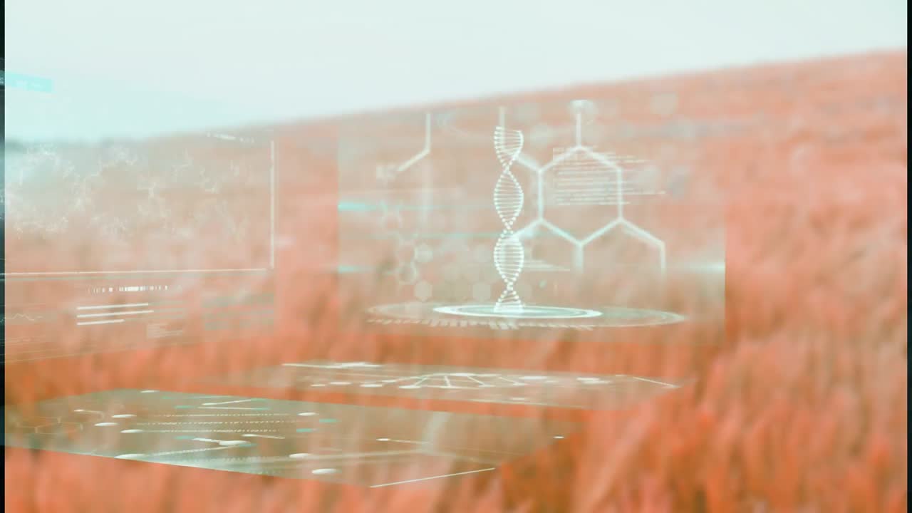 건조한 잔디 위의 스크린에서 과학적, 생물학적 데이터의 애니메이션