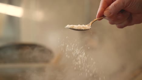rociar el queso grana parmesano rallado en cámara lenta