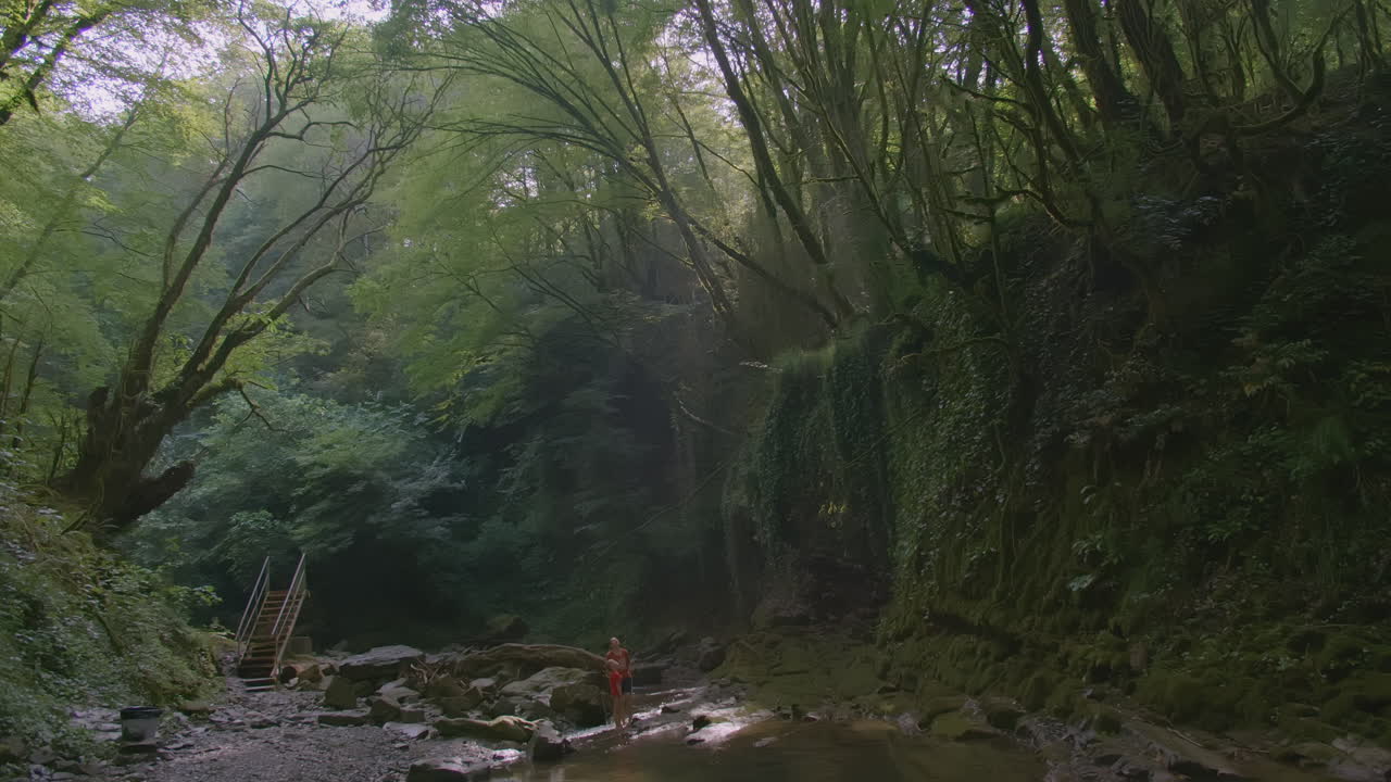 arroyo del bosque con persona