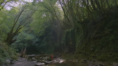 forest creek with person
