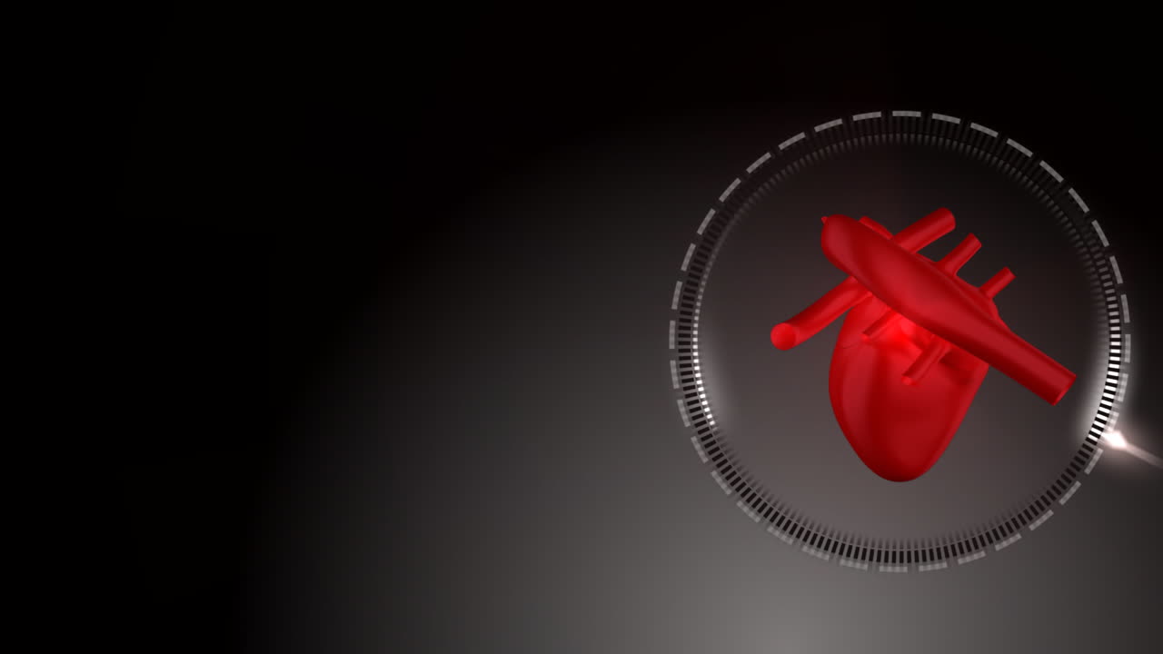 심장 박동과 회전은 왼쪽에서 오른쪽으로 움직입니다.