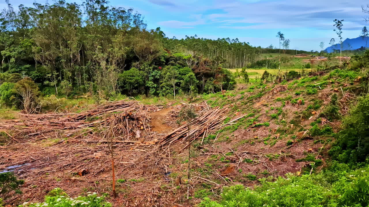 The aftermath of logging is visible on a hillside where a forest has been cut down, leaving behind a scar of felled timber and debris that contrasts sharply with the remaining green woods