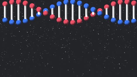 animación de una cadena de adn de modelo 3d giratorio y nieve cayendo sobre un fondo negro