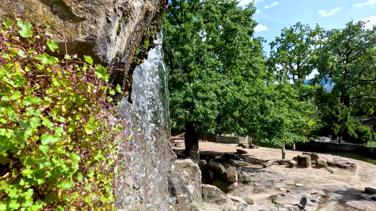 A steady waterfall cascades over rocks beside vibrant green foliage in a sunlit zoo enclosure, with trees and naturalistic landscaping visible. Static camera, bright daylight