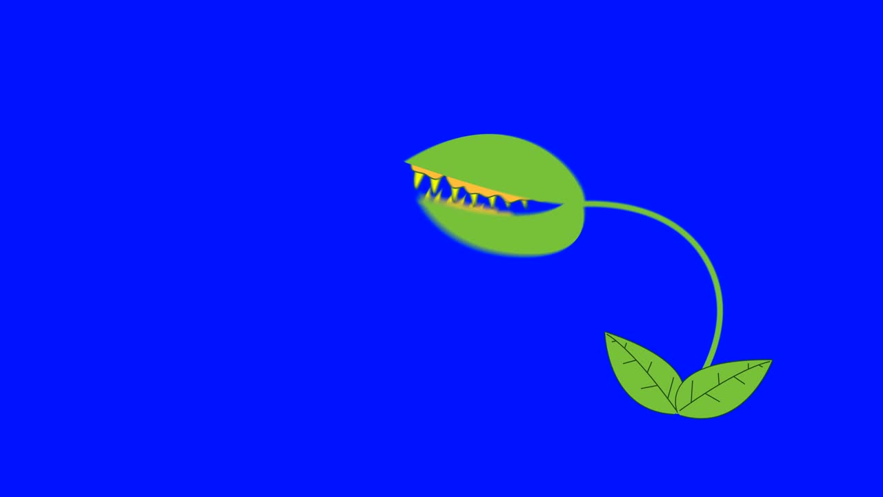 Armadilha de Vênus de desenho animado mordendo em um fundo de tela azul