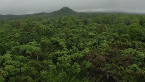 aerial flyover of tropical rainforest cloud forest jungle in ecuador galapagos island nature