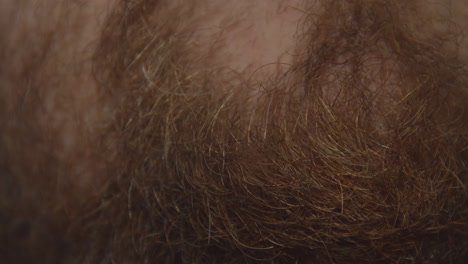 close up of male bearded chin