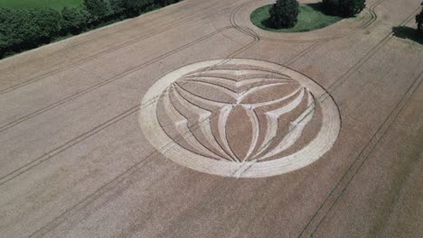 Warminster-crop-circle-2023-aerial-view-rising-above-mysterious-geometric-pattern-on-farmland-in-England