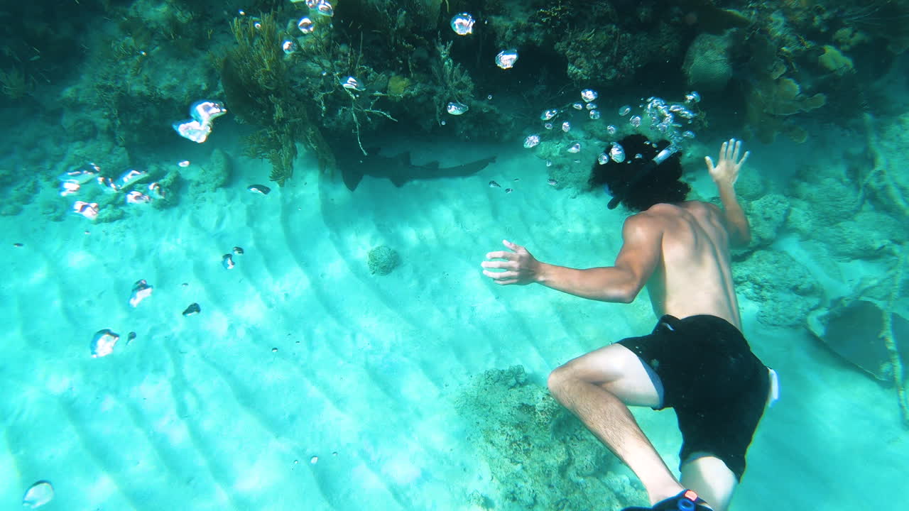 Male diver at a coral reef,watching a spotted shark,Flamenco Island,Puerto Rico