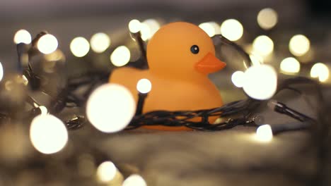 close-up shot of rubber duck on background of christmas garland on a playd. home decor