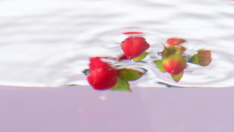 water reflection of plants and berries