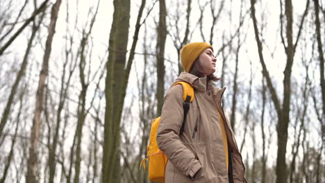 een jong meisje met een gele wollen muts in het bos kijkt omhoog naar de hoge takken van de bomen 1