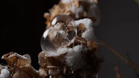 motion controlled time lapse sequence of freezing bubbles