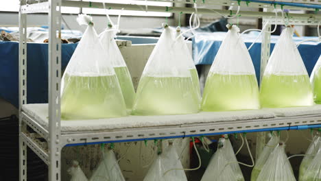 fish bag aquaculture system
