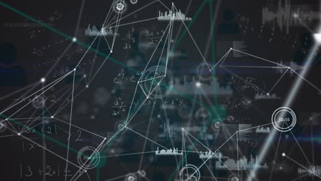 animation of networks of connections and data processing