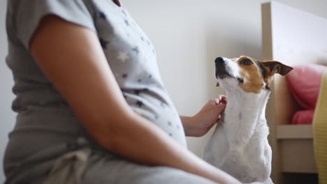 pregnant woman with her dog