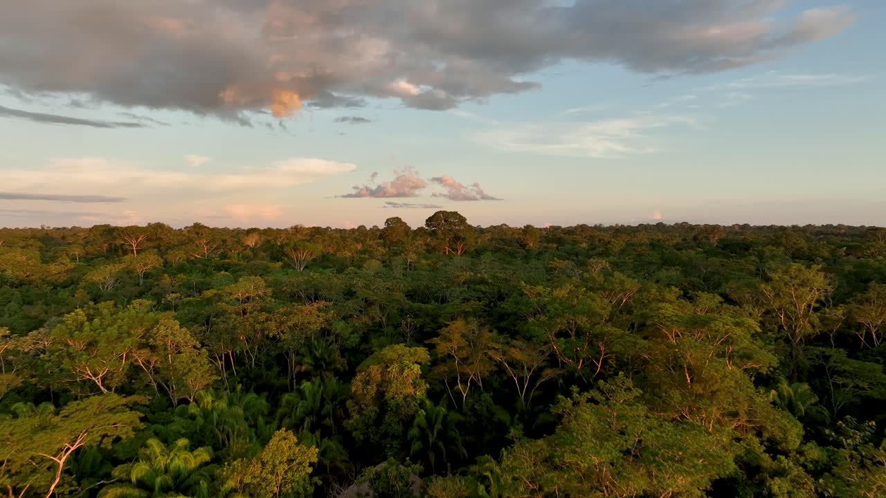 vista aérea de drones del amanecer escénico en la selva tropical amazónica con rayos de niebla vívidos en la mañana cerca de un lago fluvial
