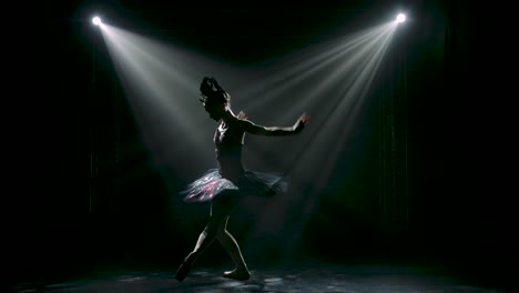 Silhouette of a graceful ballerina in a chic image 2023 11 27 05 13 04 utc.mov | action, alone, art, ballerina