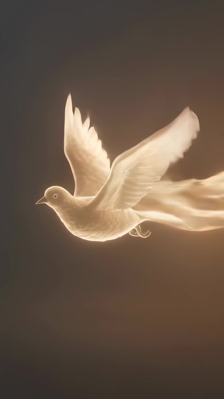 Video verticale: Uccello illuminato che emerge da sinistra e vola attraverso un vuoto oscuro, lasciando una scia di fuoco che attraversa l'inquadratura.