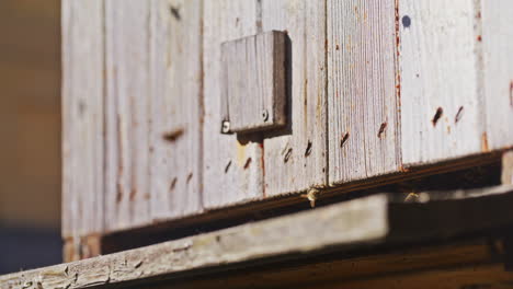 Blick-Auf-Bienen,-Die-In-Einen-Hölzernen-Bienenstock-Fliegen