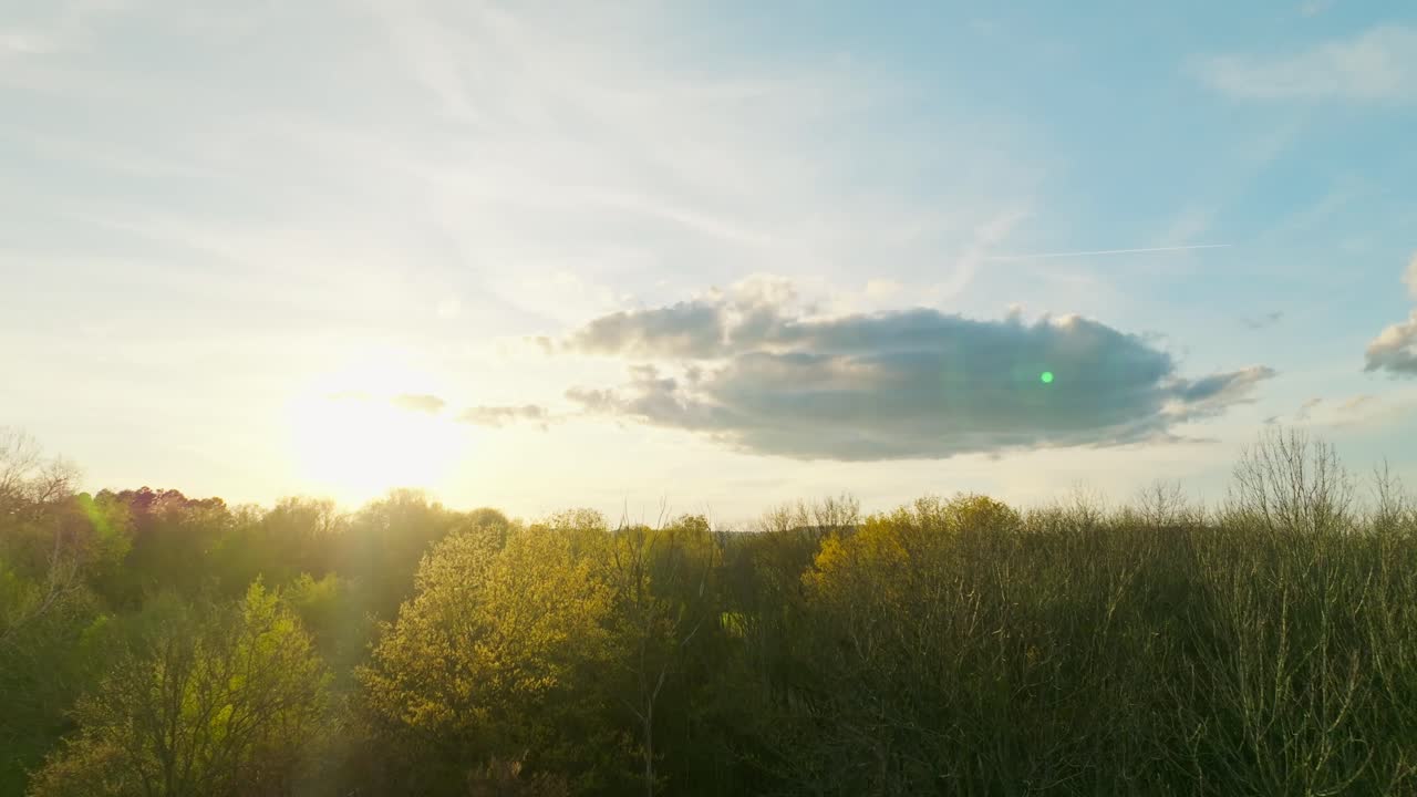 미국 아칸소 주 파예트빌 에 있는 세코야 호수 주변 에 있는 낮은  ⁇  에 있는 나무 꼭대기 위 로의 공중