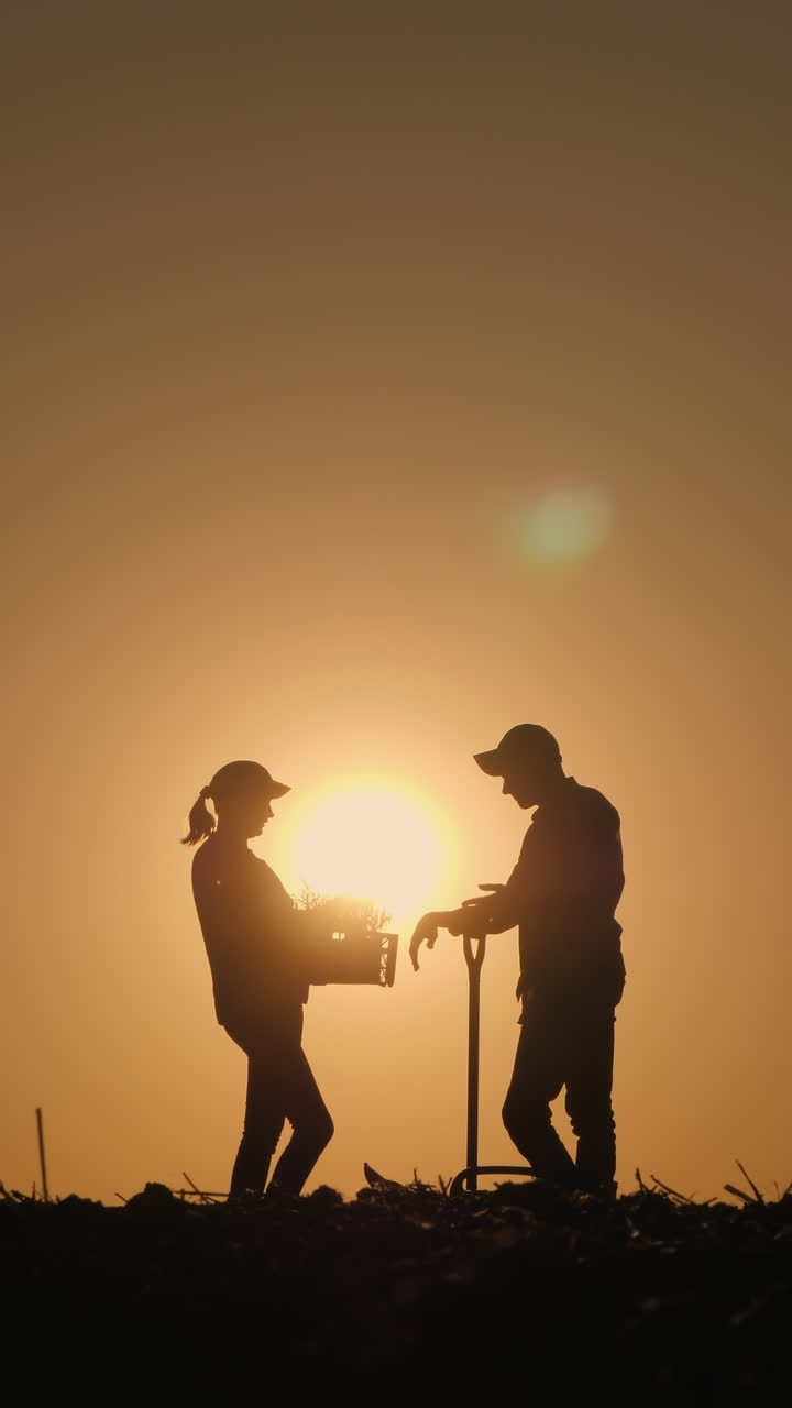 Siluetas de dos agricultores, hombre y mujer, discutiendo el trabajo al atardecer en un campo rural con una tablet, contra un cielo resplandeciente. Metraje 4K de alta calidad.