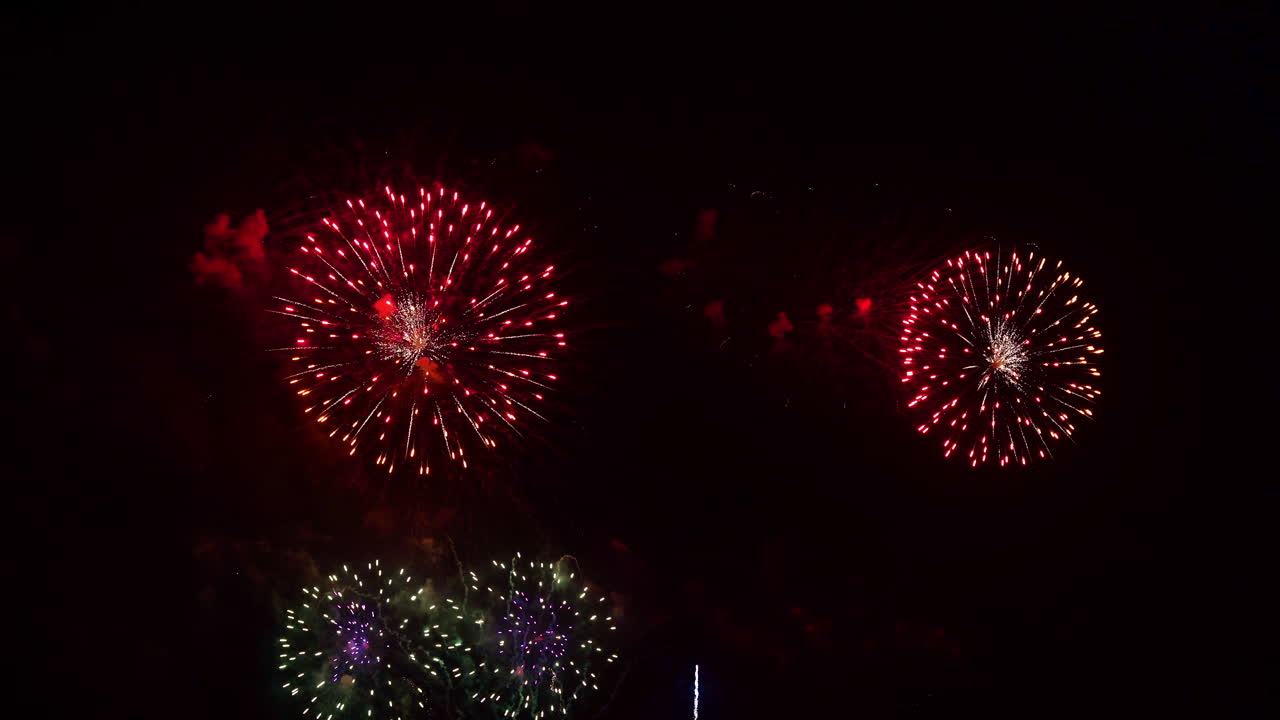 coloridos fuegos artificiales de peonía contra el cielo negro nocturno