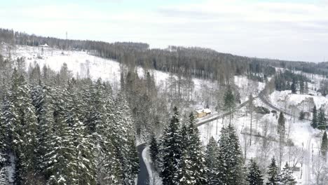 Winter-Im-Nationalpark-Harz