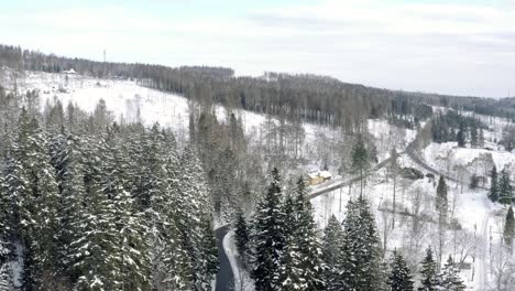 Invierno-En-El-Parque-Nacional-De-Harz