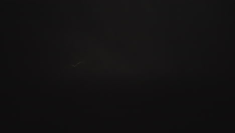 lightning in the night sky
