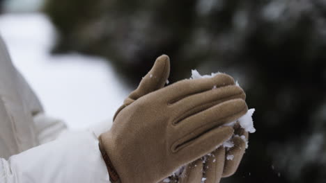 person playing with snow