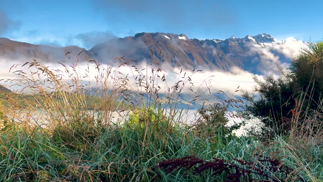 Lush greenery and misty mountains surround Lake Wakatipu under clear skies, captured in vibrant daylight