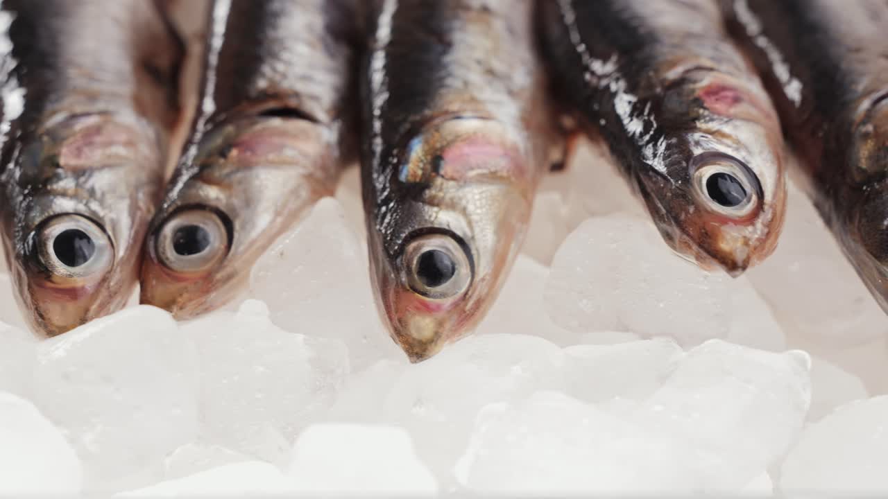 anchoas frescas en hielo