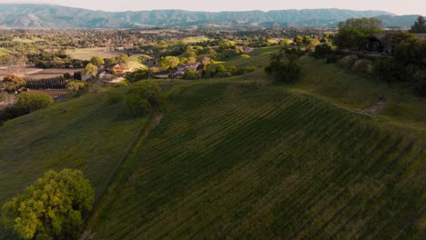 volando sobre las colinas onduladas del país del vino en santa ynez, california, imágenes de drones de impresionantes bodegas y fincas verdes con cordilleras en el fondo