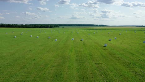 rural field with white hay rolls wrapped in a package for haulage aerial view