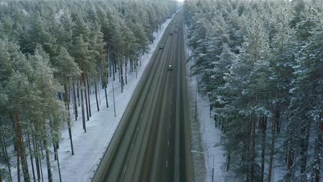 snowy highway through a pine forest