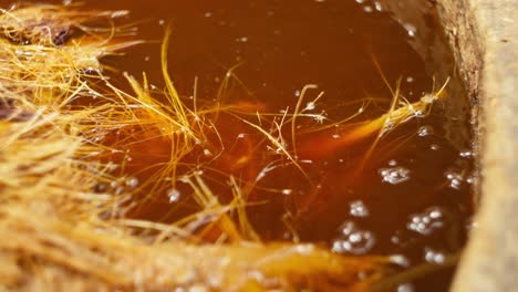 close up shot of a fermentation barrel at a mezcal factory near oaxaca