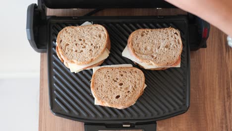 grilled cheese sandwiches on a toaster oven