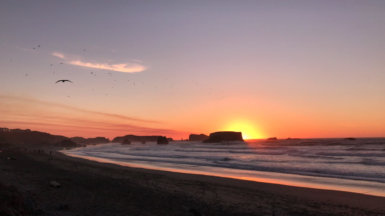 una bandada de pájaros volando al atardecer sobre la playa de bandon