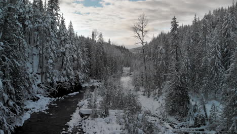 Arroyo-De-Bosque-De-Invierno-Lento-Y-Decente