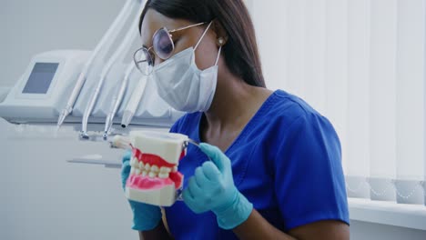 dentist examining a dental model