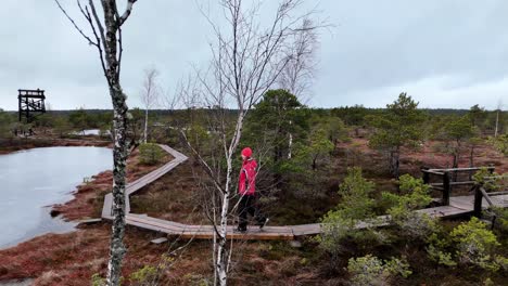 Aerial-Orbit-Follow,-Woman-in-red-clothing-walk-along-the-footbridge-over-a-wet,-muddy-swamp-area