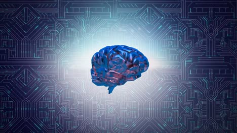 cerebro y circuito digital