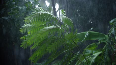 in the rainy season, eastern india receives heavy rainfall during the rainy season.
