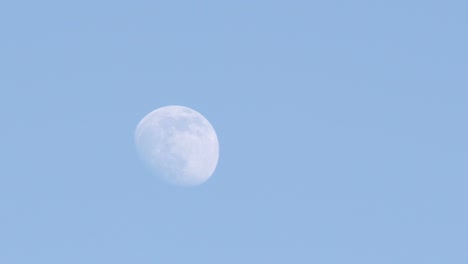 moon is in the blue sky during the day, three days before the full moon.
